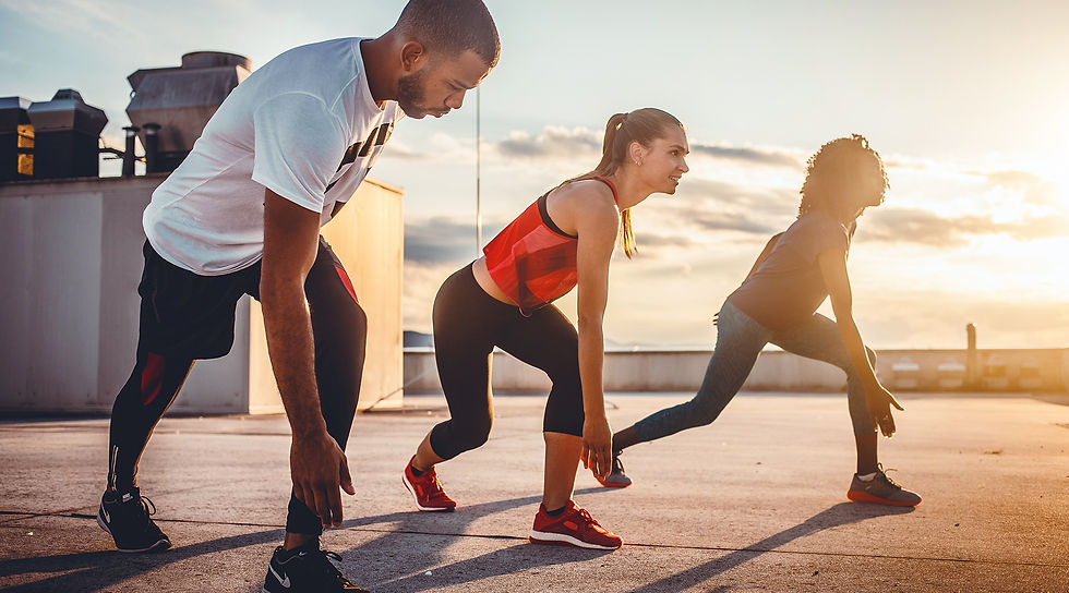 Workout Program