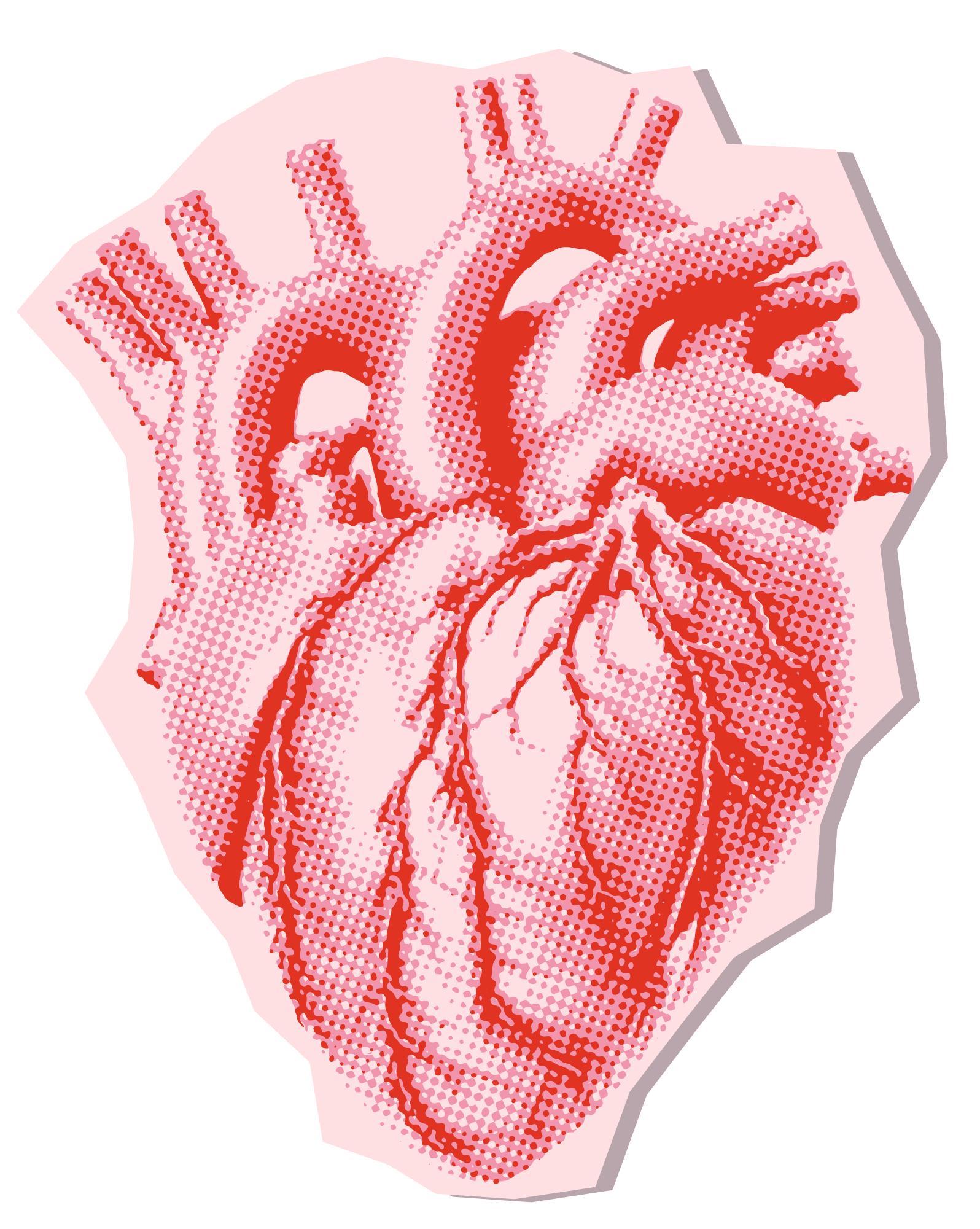 Aluminum Beverage Can   