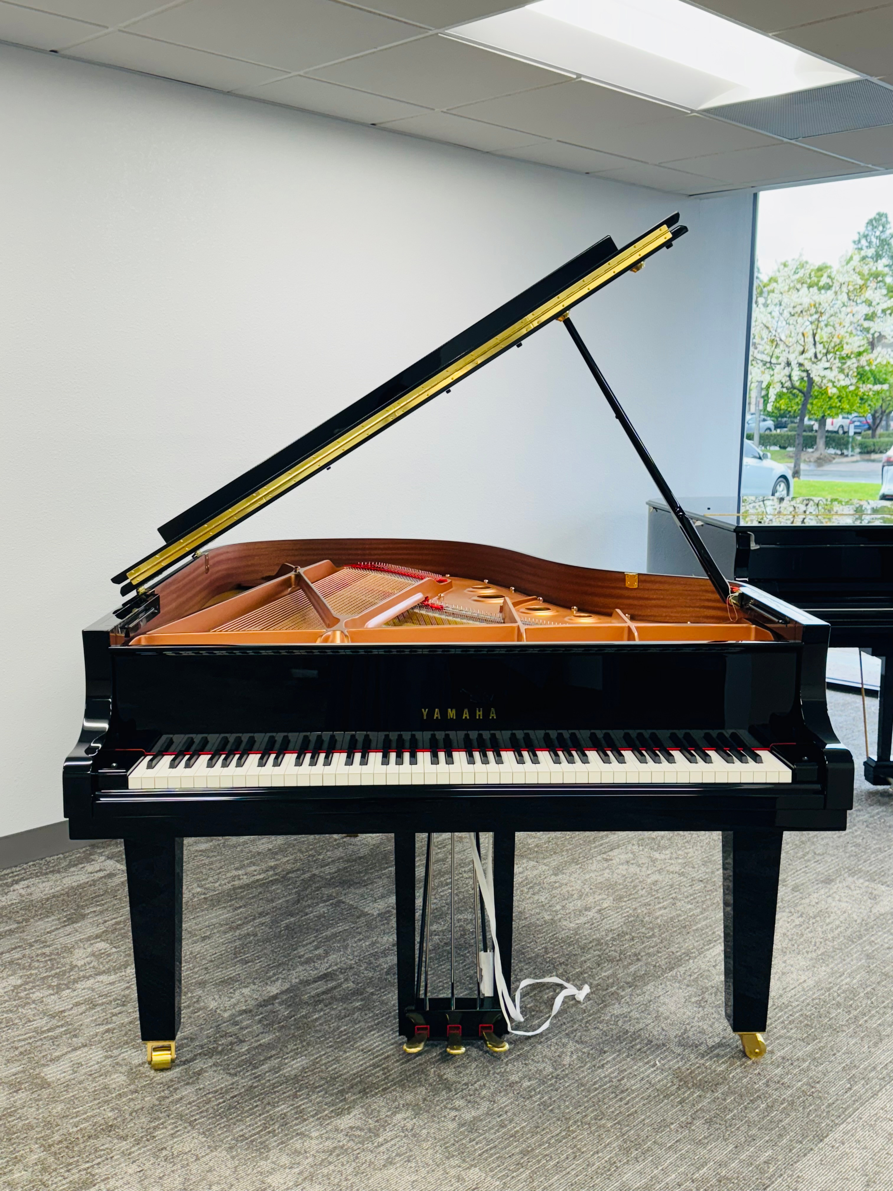 YAMAHA C3XE EBONY /Grand Piano