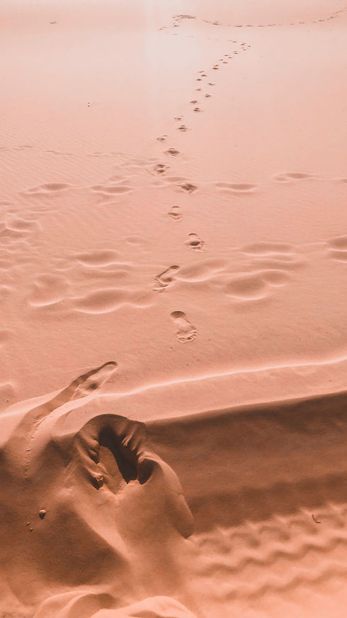 celine-lityo-OB2kJKahFGM-unsplash.jpg