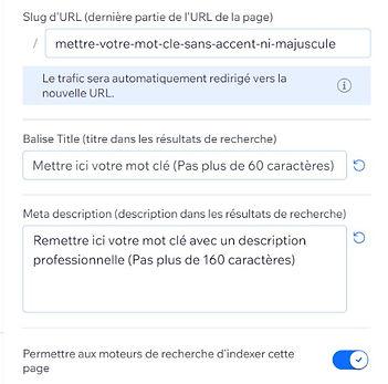 Référencement Wix: Optimisez vos balises Meta (meta title, meta description, meta keywords, etc..,) pour une meilleure visibilité avec alexandre m the frenchy and Co