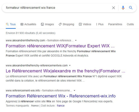 alexandre m the frenchy Formateur referencement wix France