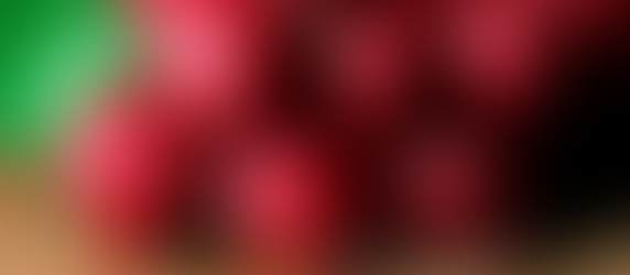 Le radis et/ou radis noir (ramenas)