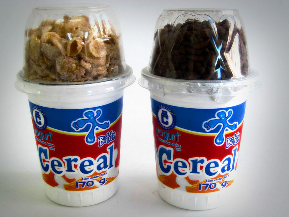 Yogurt Tradicional