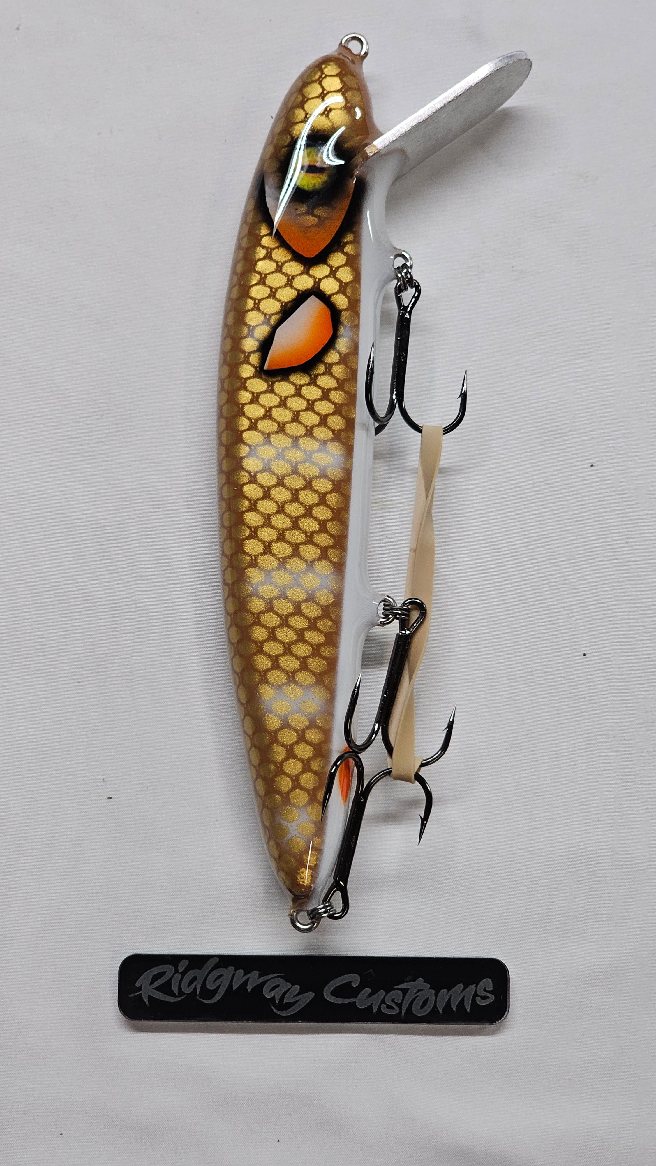 9 inch White Carp 