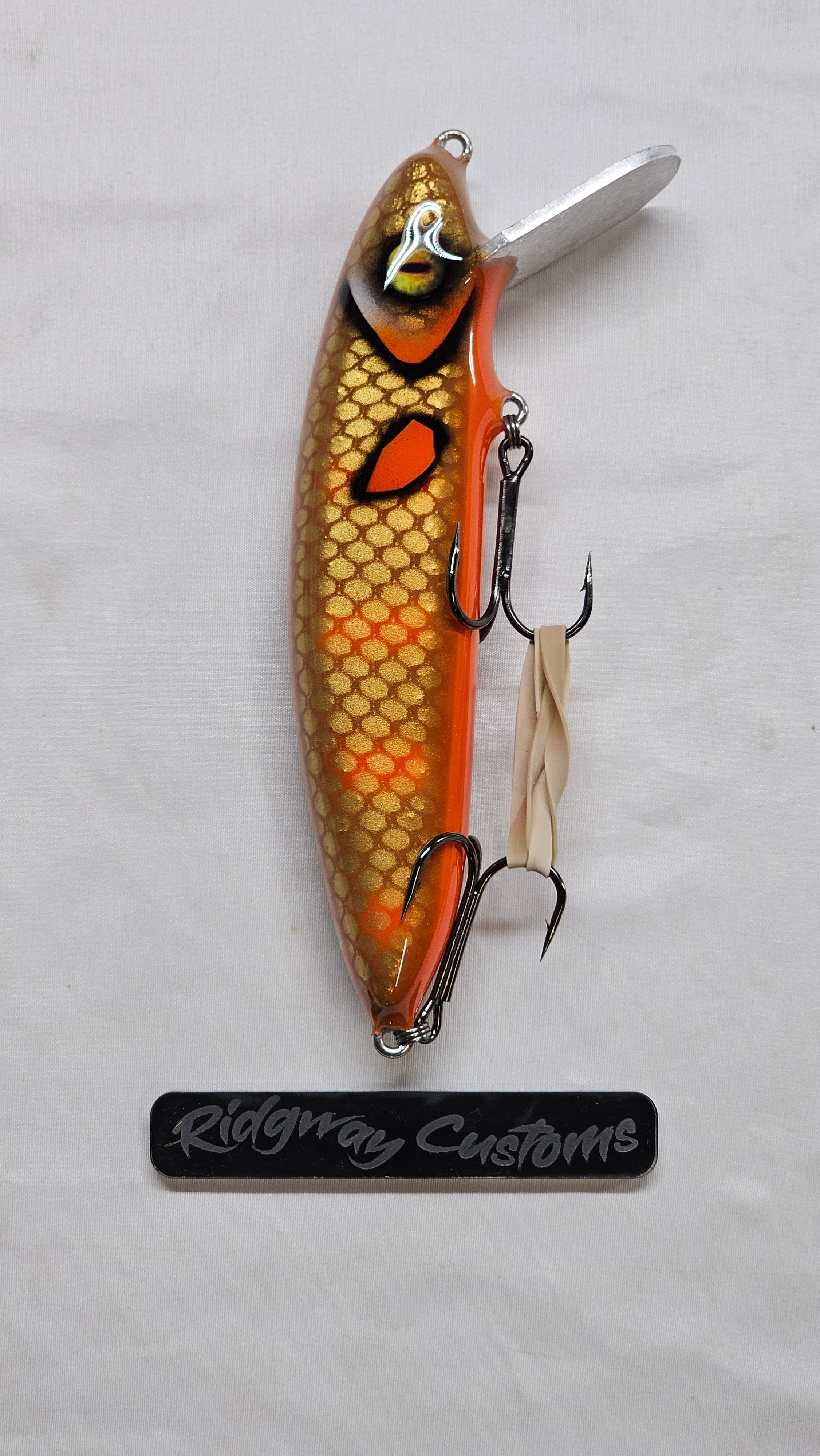 7 inch Orange Barred Carp 