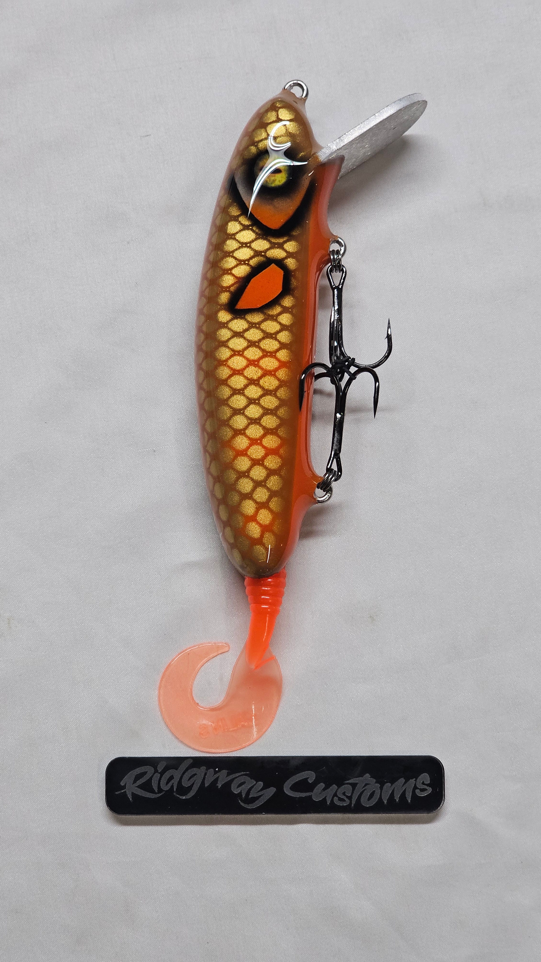 6 inch Softail Orange Barred Carp 