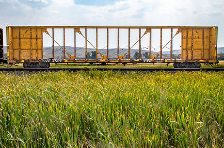 Train tracks in rural UT