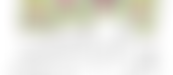 Digitale Hantelbilder gewünscht?