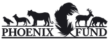 logo_eng (1).png
