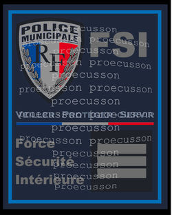 POLICE MUNICIPALE FORCE SÉCURITÉ INTÉRIEURE FSI