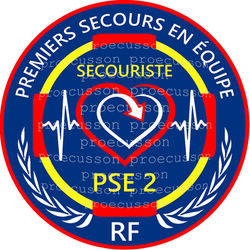 SECOURISTE PSE2