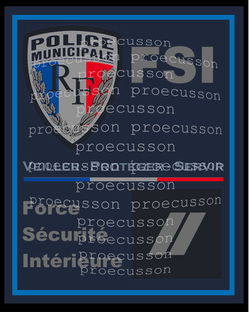 POLICE MUNICIPALE FORCE SÉCURITÉ INTÉRIEURE FSI