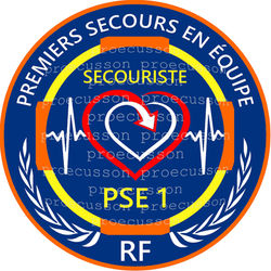 SECOURISTE PSE1