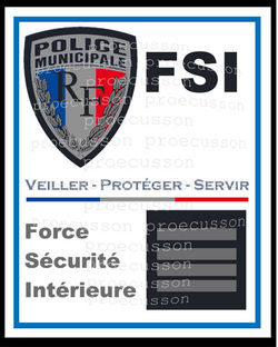 POLICE MUNICIPALE FORCE SÉCURITÉ INTÉRIEURE FSI
