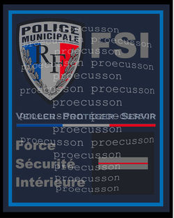 POLICE MUNICIPALE FORCE SÉCURITÉ INTÉRIEURE FSI