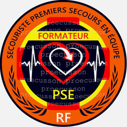 SECOURISTE PREMIERS SECOURS EN ÉQUIPE FORMATEUR PSE