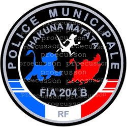 POLICE MUNICIPALE FIA MONTPELLIER 204 B