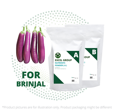 Excel Fertilizer AB Nutrients Solution Brinjal