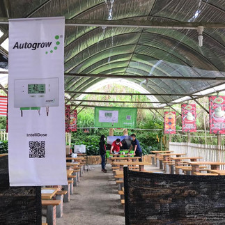 IntelliDose Dosing System Cameron Highlands