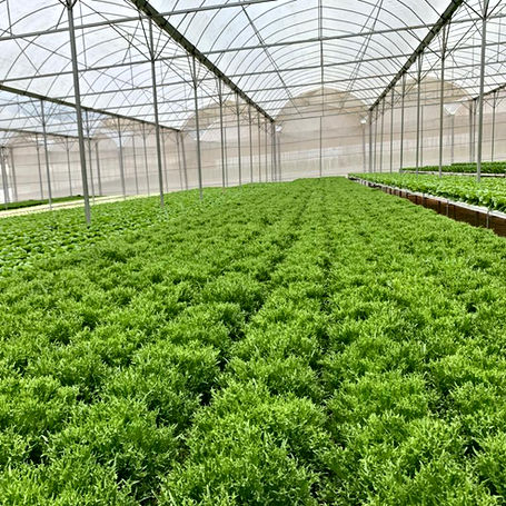 WhatsApp Image 2022-03-14 at 5.12.25 PM (1).jpeg