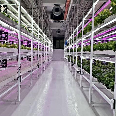 CLEAN FARM PROJECT EXCEL GROUP