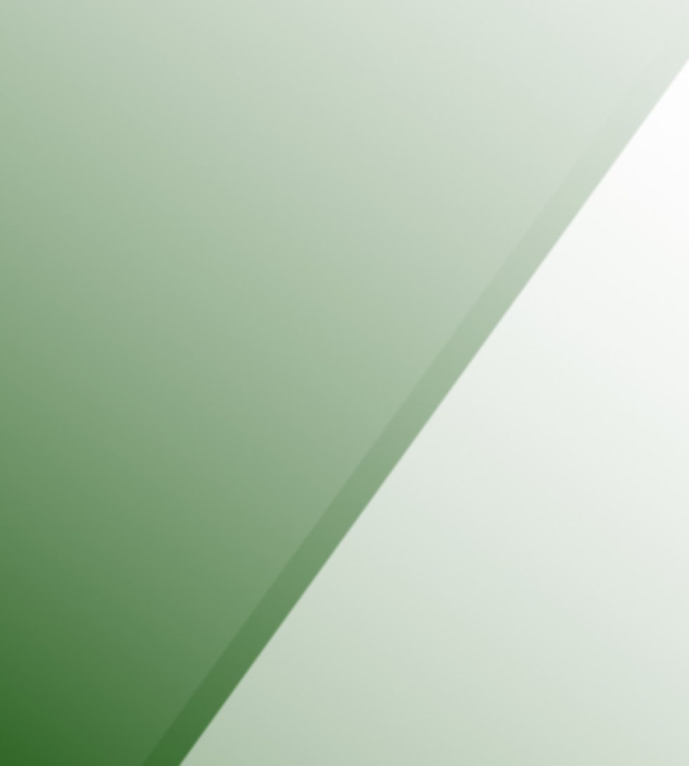 EXCEL GROUP EXCEL SEEDS TRADING DECK (3)_edited.jpg