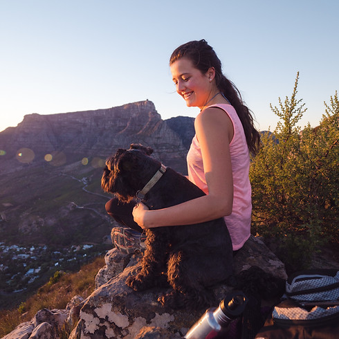 adventure-animal-climb-963714.jpg