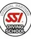 logo SSI