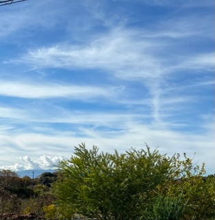 祝 ドジャース2連覇!!