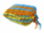 Sunrise travel blanket in matching bag