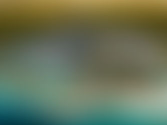 Todo lo que debes saber del "Hotel Xcaret"