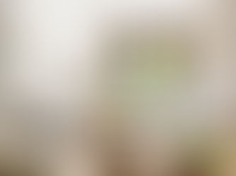 Mesitas de decoración: estilos, materiales y formas