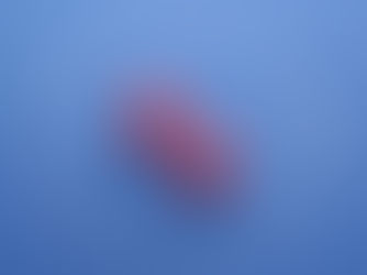 Compatibilidad de los signos 