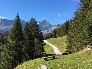 Hüttenputz im Herbst 2018