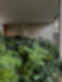 BB5416F5-2AAB-4A7A-8E2F-E439AA555069.jpeg