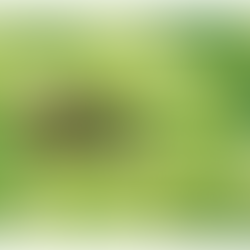 SEAMOS COMO LAS MOSCAS...