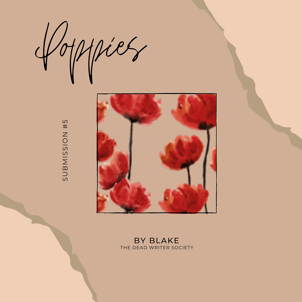 Poppies