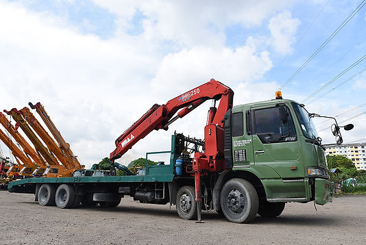 lowBackCranes-1.jpg