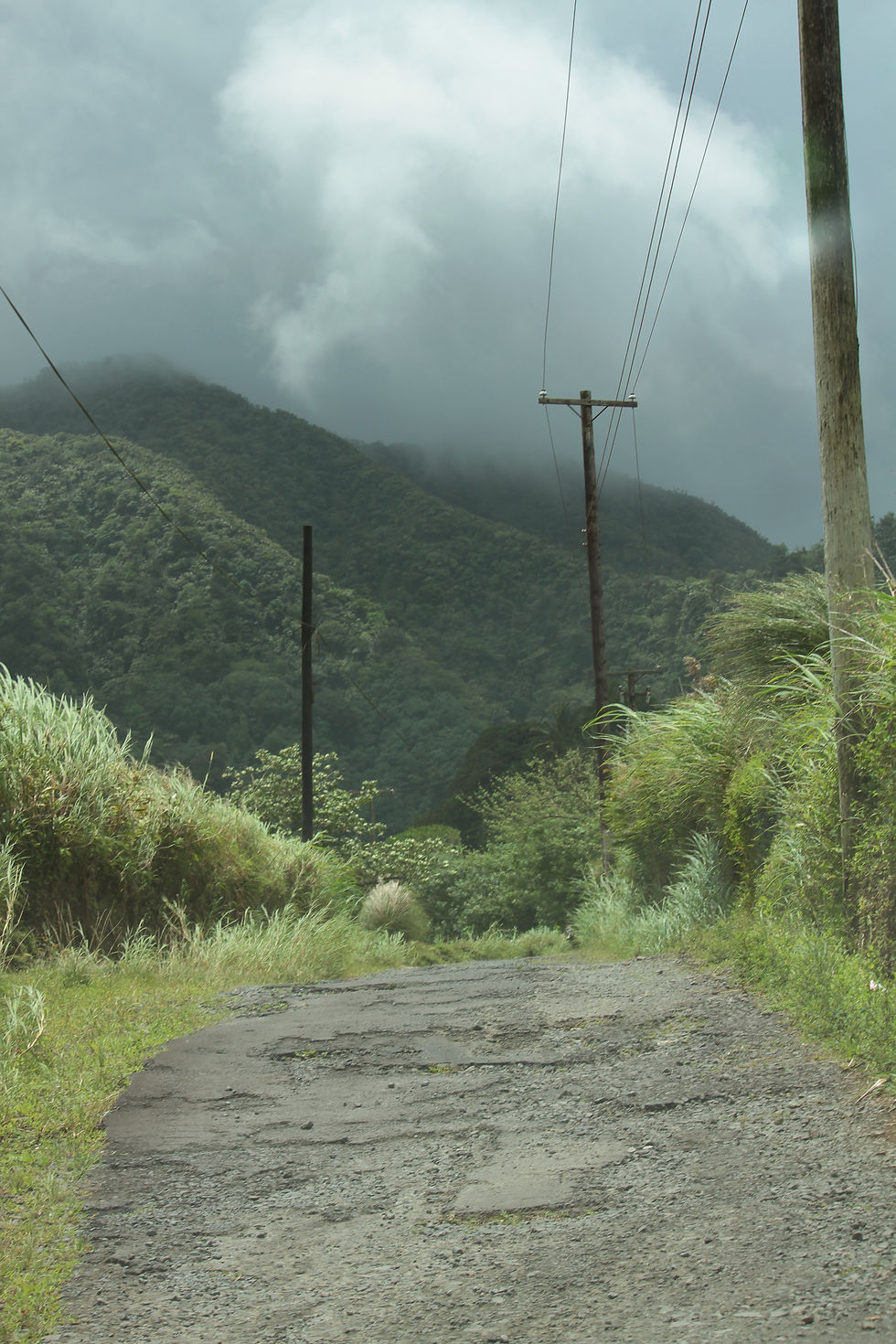 On the road to rural St. Vincent - Canon 7D, 55mm at f/6.3 for 1/400 second at ISO 100. Photo by Connor Fullerton on May 9th, 2018.