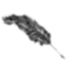 images%20(4)_edited.png