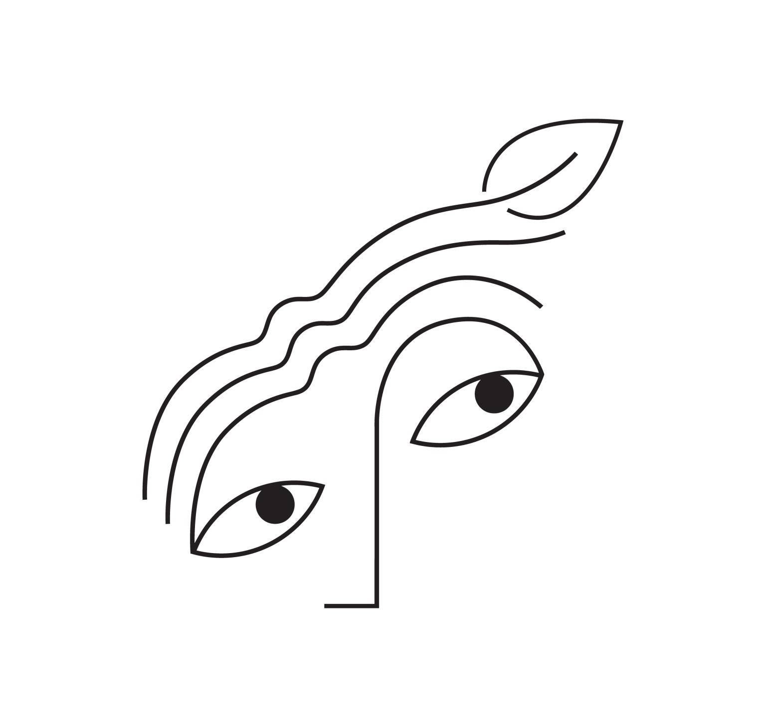 Writer: Stirnrunzler