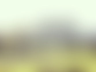 La evolución de los grandes zoológicos del mundo