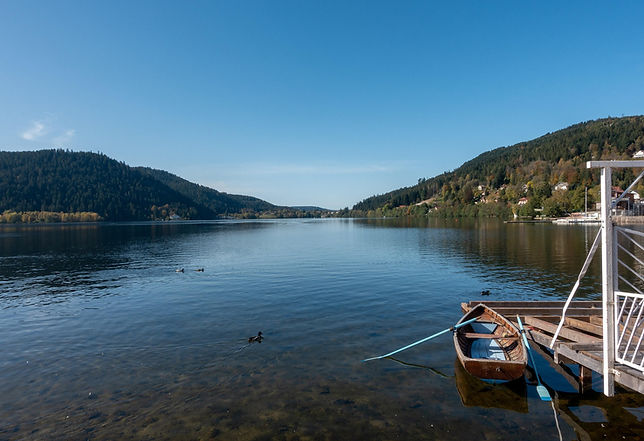 martinelle-lake-4678902_1920.jpg