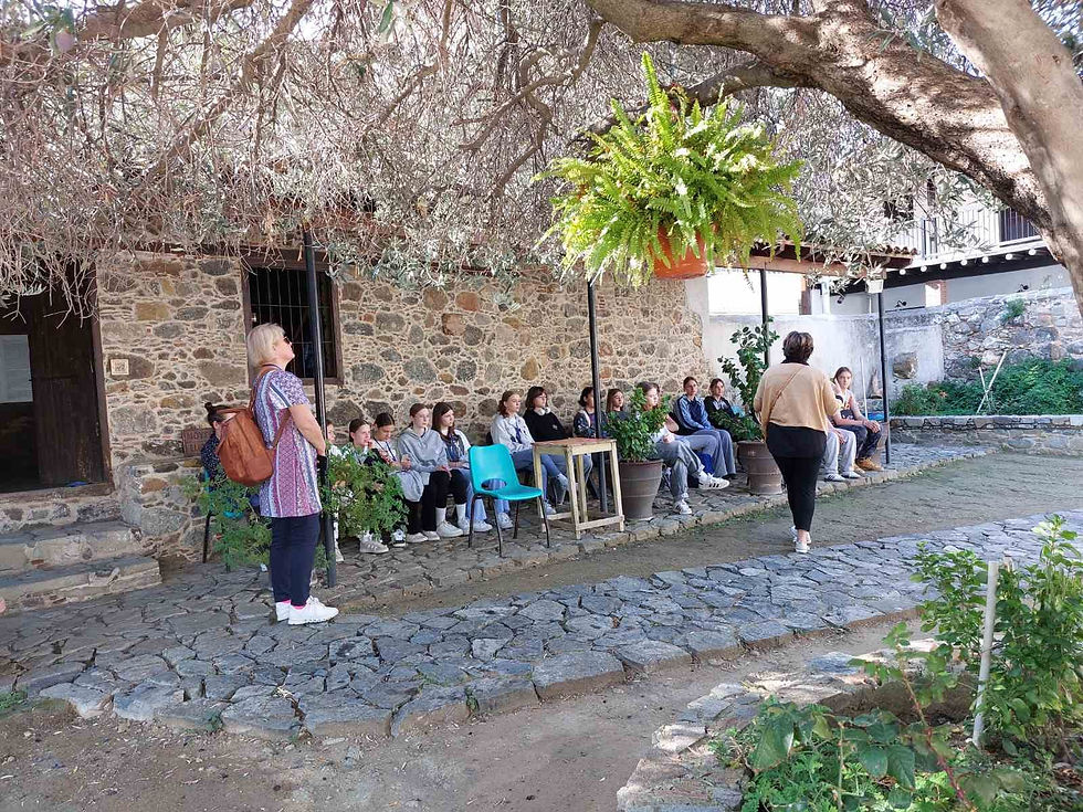 Cyprus exchange report - day 5