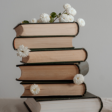 RECONNECT_Bilder (7).png