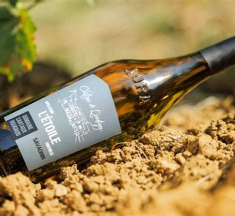 chardonnay sous voile maison cartaux bugaud