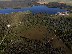 Forêt de La Haute Joux