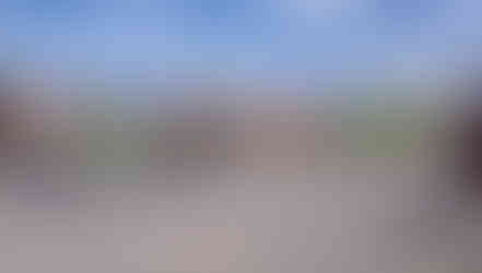 Rail Live KITE Projects