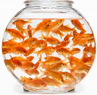 poisson (2).png